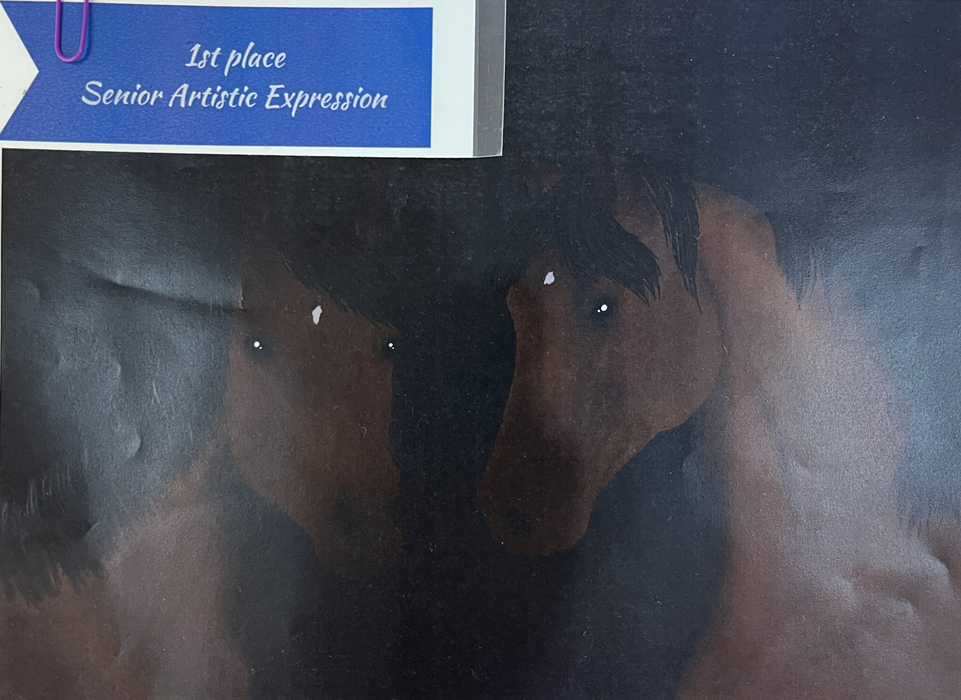 Two brown horses' heads in dark painting; blue ribbon reads "1st place Senior Artistic Expression"