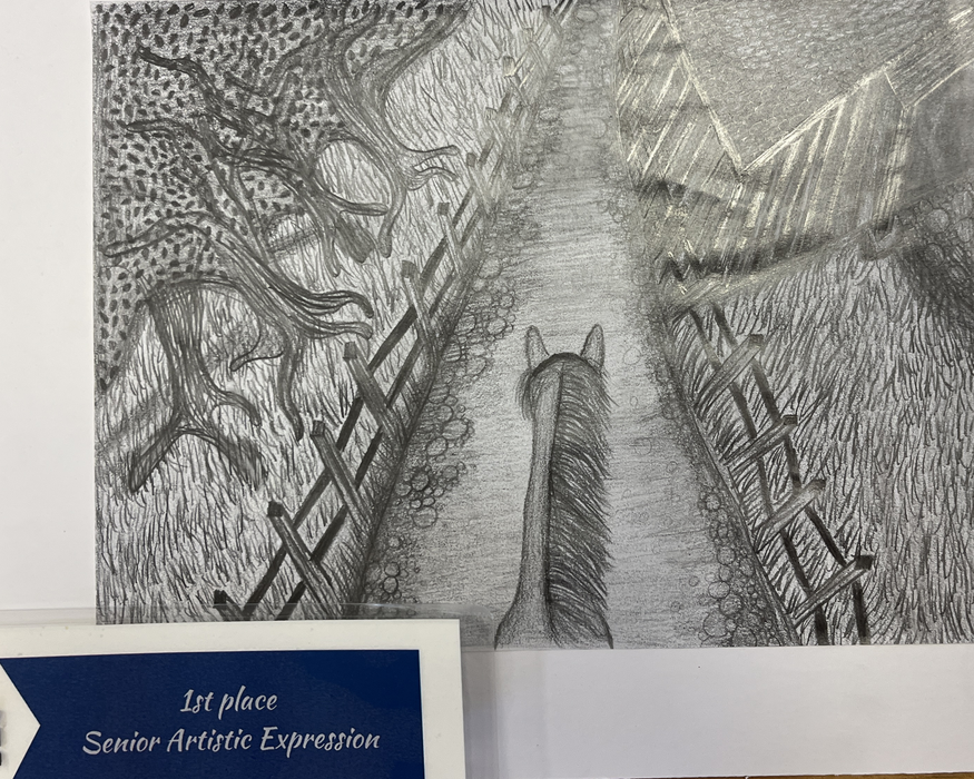 Horseback view down a fenced path sketch; ribbon: '1st place Senior Artistic Expression'