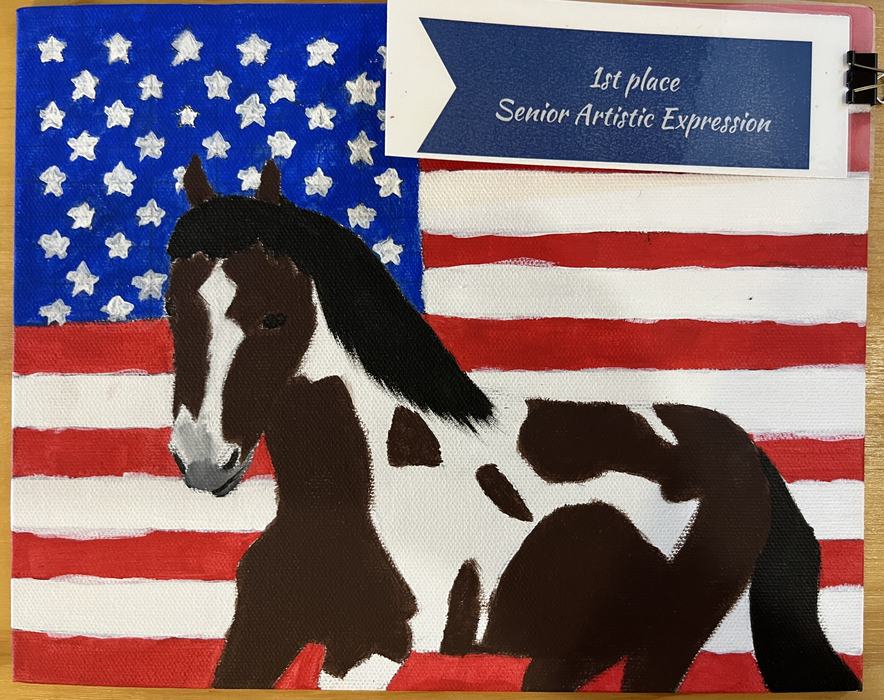 Painted brown-and-white horse in front of U.S. flag; label "1st place Senior Artistic Expression."