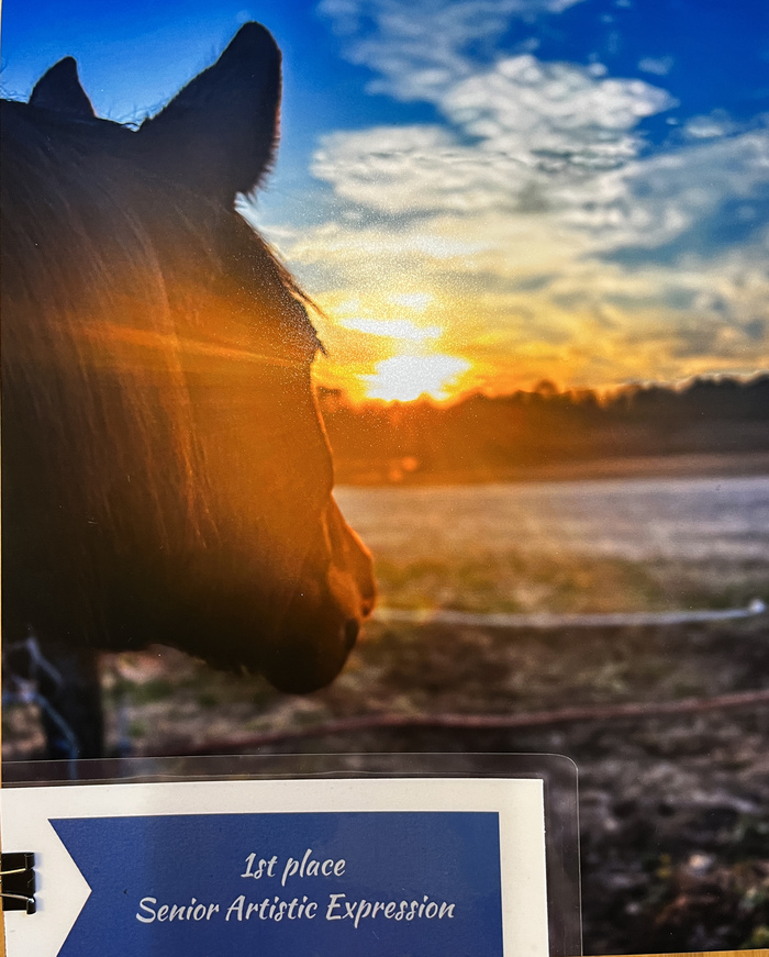 Horse silhouette facing sunrise; award plaque reading "1st place Senior Artistic Expression"