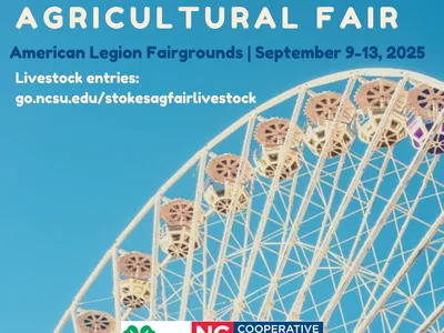 photo of a ferris wheel with the Extension logo overlayed