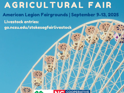 photo of a ferris wheel with the Extension logo overlayed