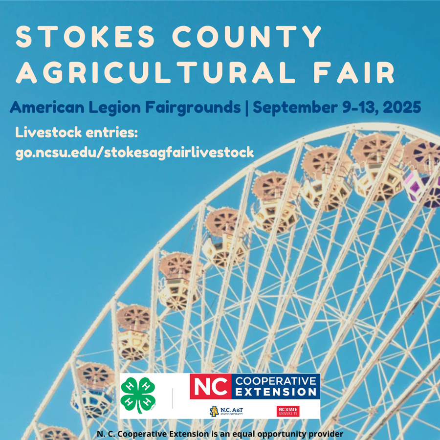 photo of a ferris wheel with the Extension logo overlayed