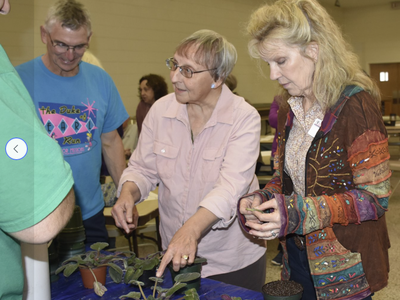 Three adults examining small potted plants on a table at an indoor event