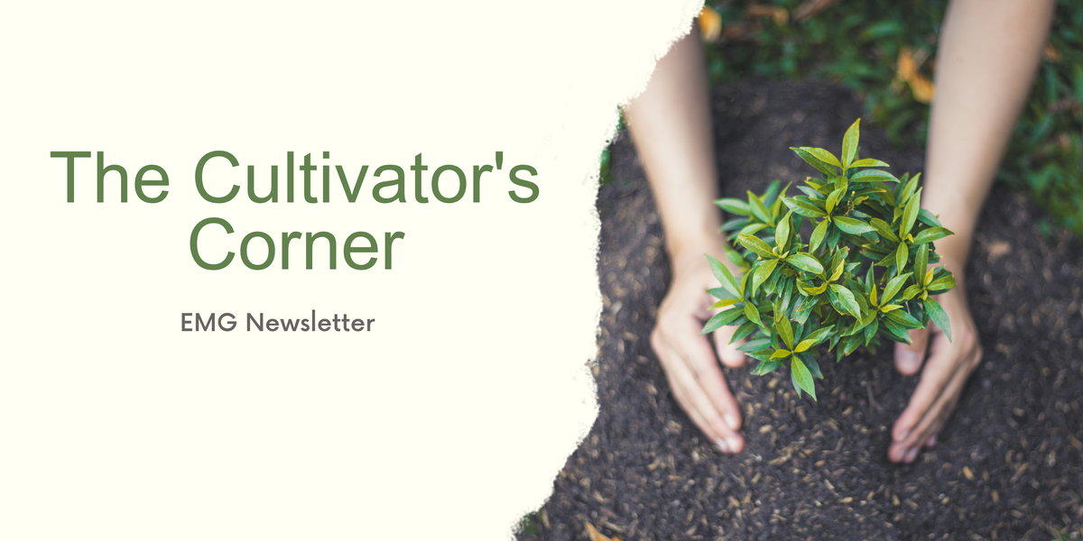 Hands planting a small green shrub in soil; text 'The Cultivator's Corner' and 'EMG Newsletter'