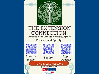 The Extension Connection podcast poster with QR codes for Amazon Music, Spotify, Apple Podcast