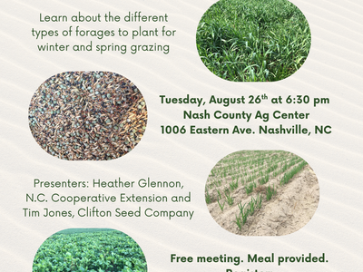 Winter Annual Forages Flier