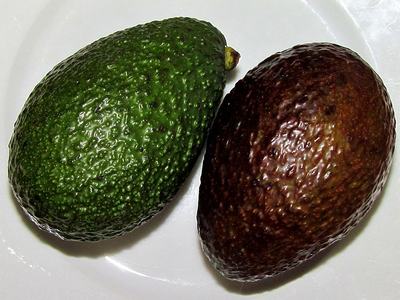 avacado-71555_1280