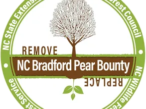 logo for bradford pear bounty program