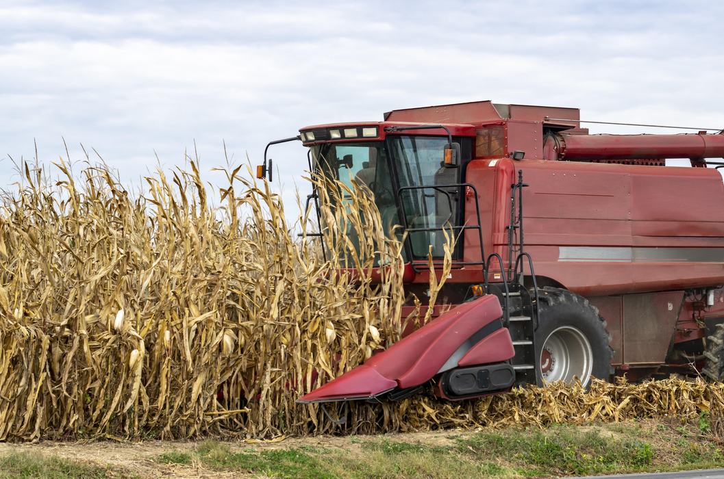 A red harvesting machine on a corn farm