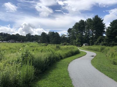 flat rock park poll garden 2025