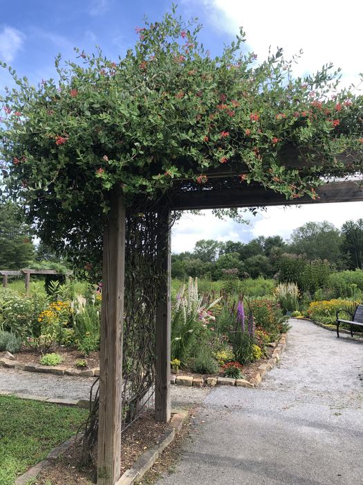 flat rock park poll garden 2025 