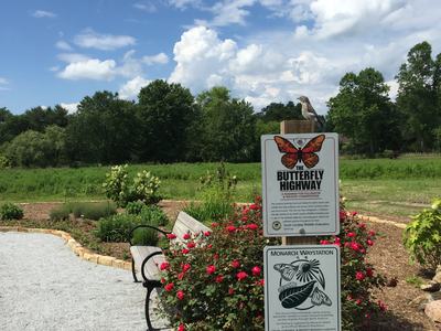 Flat Rock Park Pollinator Garden 2017