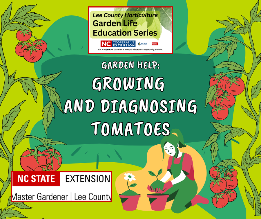 growing and diagnosing tomatoes decorative graphic