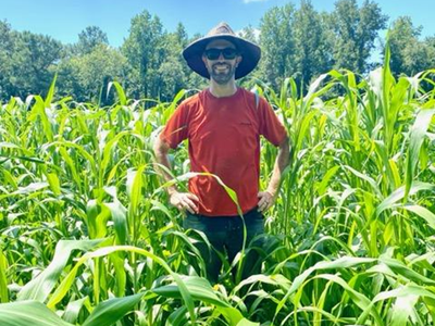 Person wearing red shirt and wide-brim hat standing with hands on hips in tall cornfield