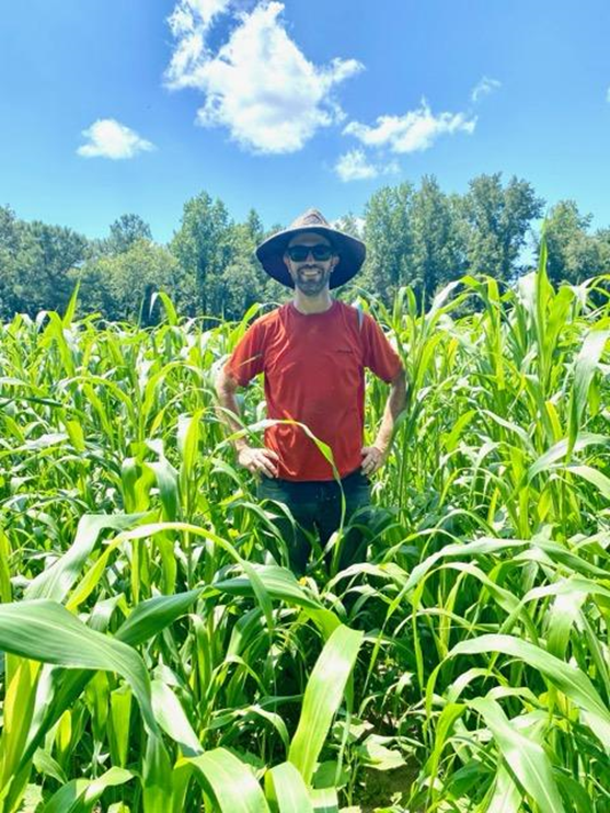 Person wearing red shirt and wide-brim hat standing with hands on hips in tall cornfield