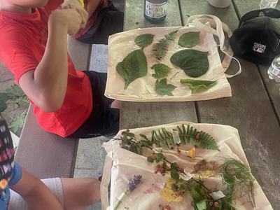 Children studying plants