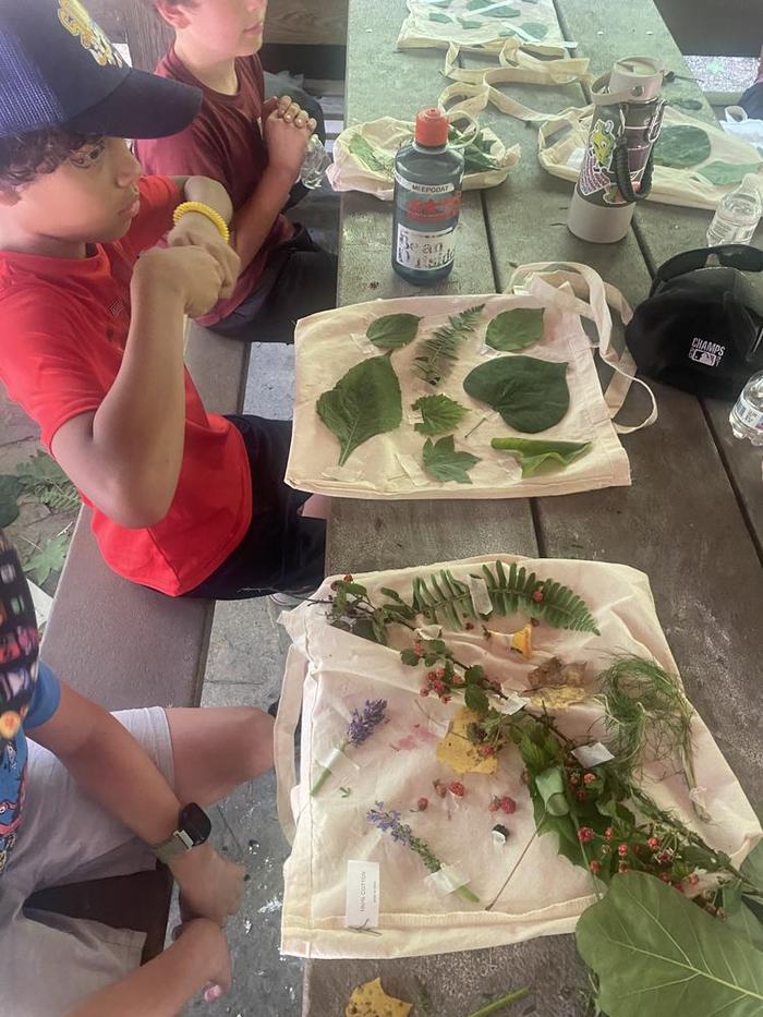 Children studying plants