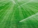 Irrigating a lawn