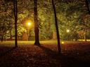 Night in Park