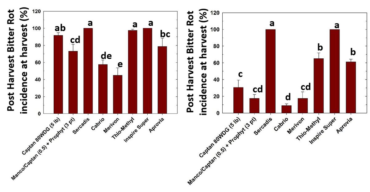 incidence of bitter rot postharvest
