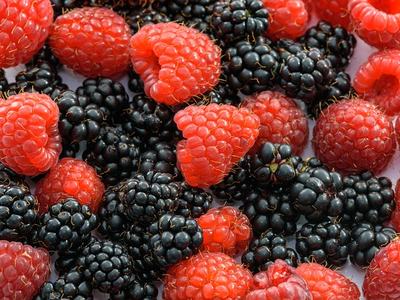 red raspberries and blackberries
