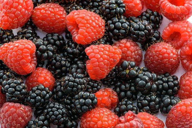 red raspberries and blackberries