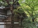 ryoan-ji-9500830_1280