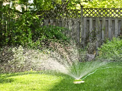 Sprinkler watering yard