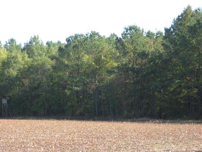 A hunting stand alongside trees and a field.