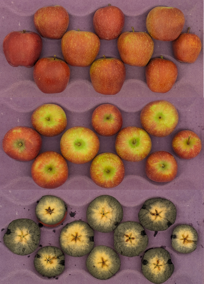 Red Delicious apples in a crate