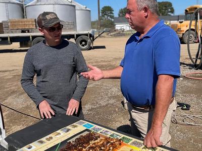 Two men look at pod maturity using a pod maturity graph.