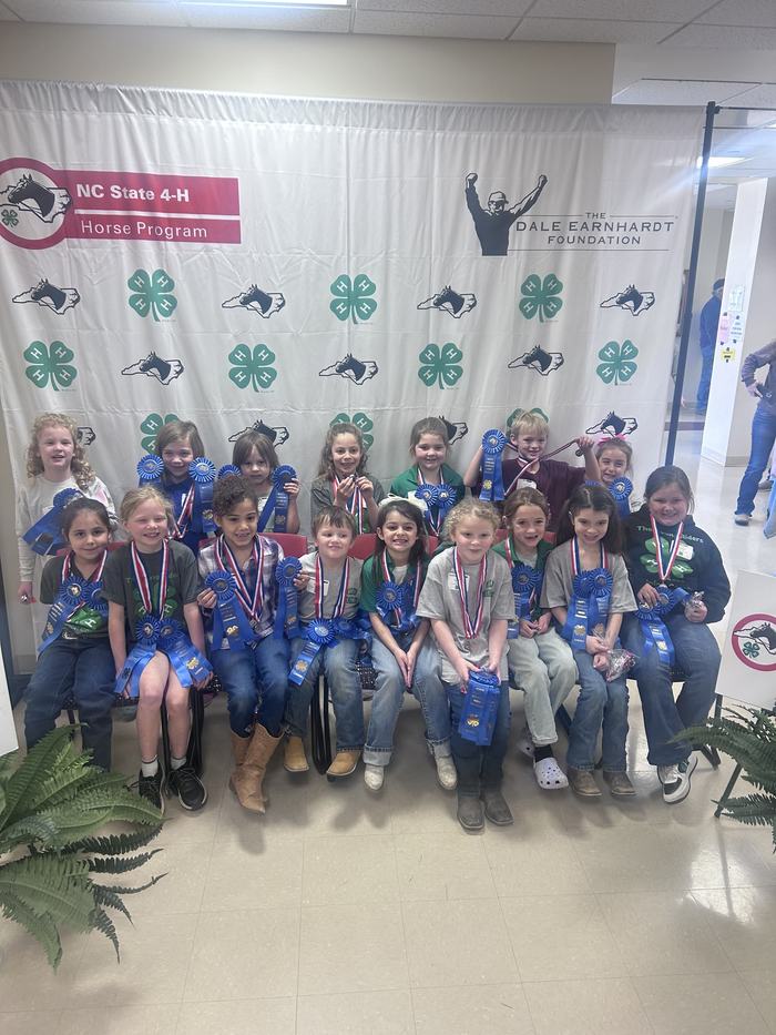 Cloverbuds at horse bowl