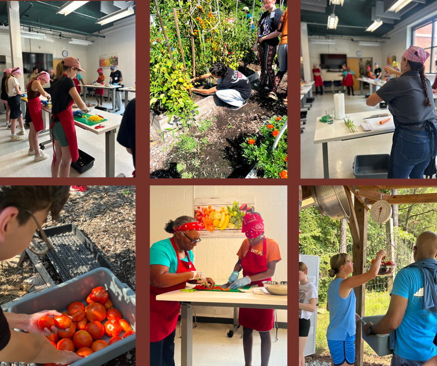 A collage of students working with vegetables in a food lab. 