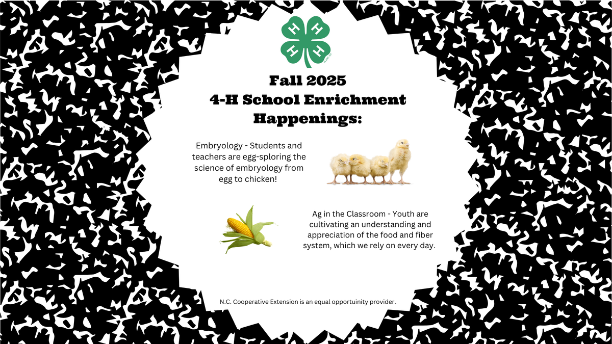 school enrichment offerings