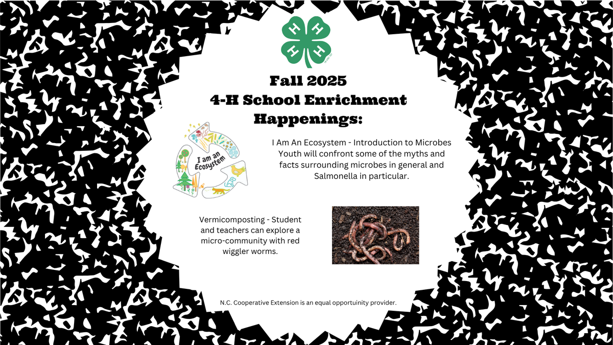 school enrichment offerings