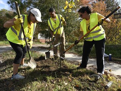 volunteers planting a tree in the city