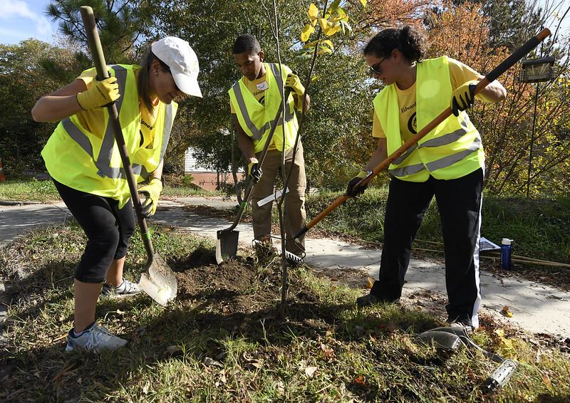 volunteers planting a tree in the city