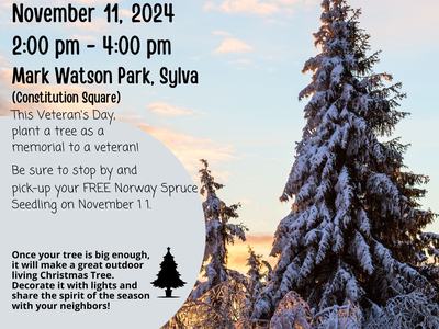 Free Norway Spruce Seedling give-away.