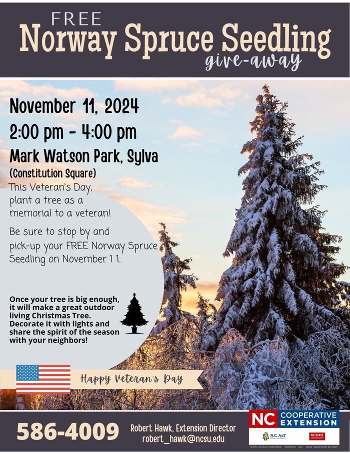 Free Norway Spruce Seedling give-away.