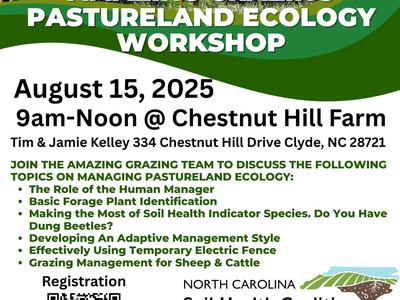 Amazing Grazin gFlyer