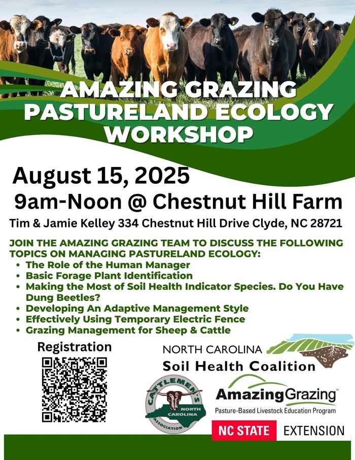 Amazing Grazin gFlyer