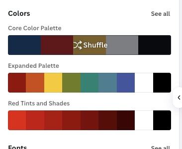 Screenshot of color palette shuffle tool in Canva