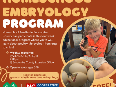 Buncombe County 4‑H Homeschool Embryology Program flyer; child holding chick and hatching eggs