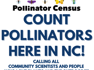 Time to Count Insects in North Carolina on Friday August 22 and August 23 2025
