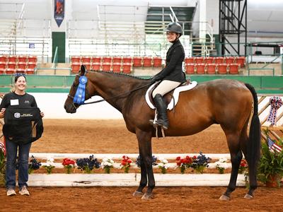 Equestrian rider on brown horse with blue ribbon in indoor arena next to person holding award