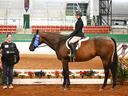Equestrian rider on brown horse with blue ribbon in indoor arena next to person holding award