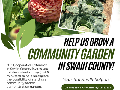 Community Garden Survey
