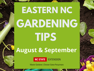 Eastern NC Gardening Tips for August and September