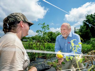 NC State Extension Director David Monks discusses tomatoes and crop production with a grower at NC State's Agroecology Education Farm, part of the university’s Lake Wheeler Road Field Lab.